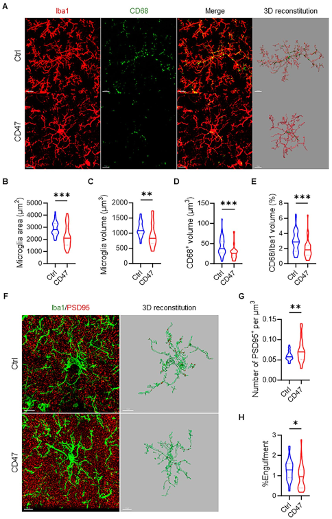 /crm/product/image/20250930/1759196387612014195.png 1759196387612014195.png